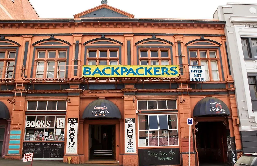 Geeky Gecko Backpackers-1