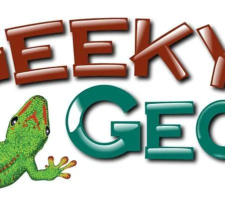 Geeky Gecko Backpackers-3